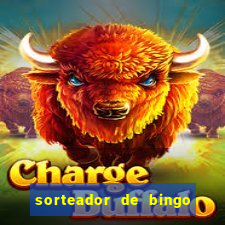 sorteador de bingo 90 bolas online